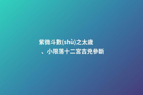 紫微斗數(shù)之太歲、小限落十二宮吉兇參斷
